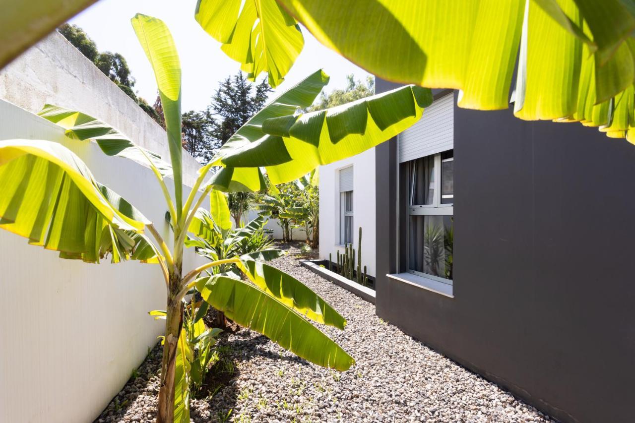 Home2Book Amazing Santa Ursula, Sea Views & Terrace Exterior photo